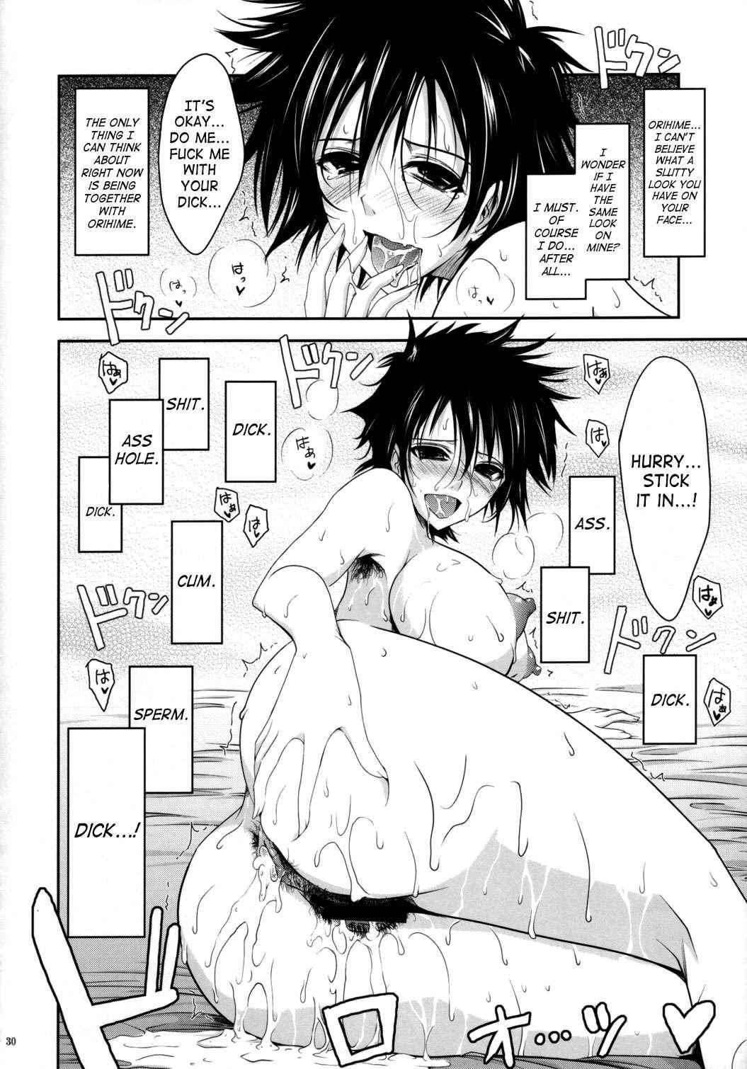 Bleach Dj - Aki-akane Chapter 1000 Page 28